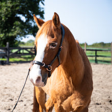 Load image into Gallery viewer, Zyara multi cavesson bitless bridle rosegold black pony size