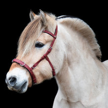 Afbeelding in Gallery-weergave laden, Kolya vegan multi-hoofdstel