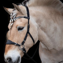 Load image into Gallery viewer, Diego hackamore black + brown