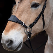 Load image into Gallery viewer, Diego hackamore black + brown