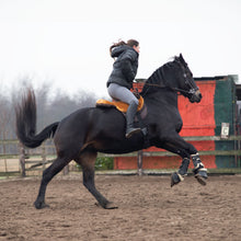 Load image into Gallery viewer, Macon extra barebackpad Merinowool brown
