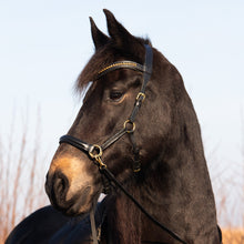 Load image into Gallery viewer, Amber sidepull gold and rosegold