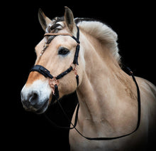 Afbeelding in Gallery-weergave laden, Bitless Rosie hackamore black rosegold on a horse with crystal broadband and rose gold details.