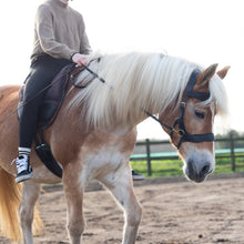 Load image into Gallery viewer, Micky sidepull black + brown gold