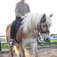 Load image into Gallery viewer, Micky sidepull black + brown gold