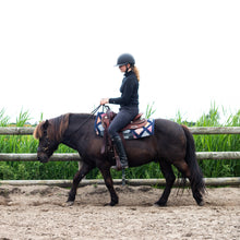 Load image into Gallery viewer, Micky sidepull black + brown gold