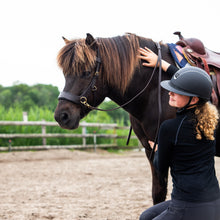 Load image into Gallery viewer, Micky sidepull black + brown gold