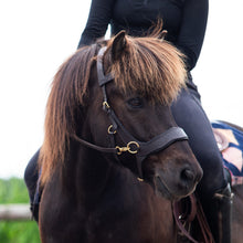 Load image into Gallery viewer, Micky sidepull black + brown gold