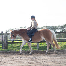 Load image into Gallery viewer, Micky sidepull black + brown gold