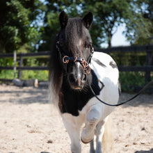 Load image into Gallery viewer, Zyara multi cavesson sidepull bridle rosegold black on a mini shetty pony