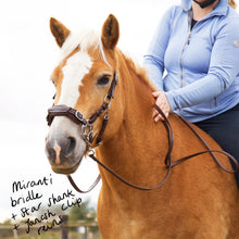 Load image into Gallery viewer, Miranti hackamore bridle