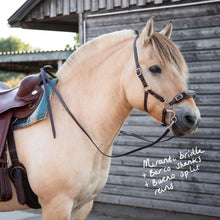 Load image into Gallery viewer, Miranti hackamore bridle