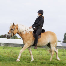 Load image into Gallery viewer, Miranti hackamore bridle