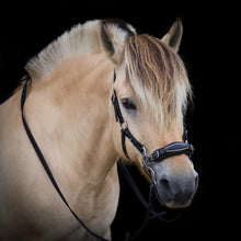 Load image into Gallery viewer, Miranti hackamore bridle
