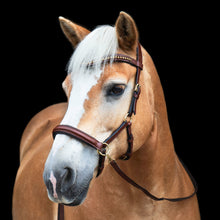 Load image into Gallery viewer, Amber mocca gold + rosegold sidepull