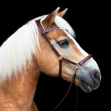 Load image into Gallery viewer, Amber mocca gold + rosegold sidepull