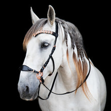 Load image into Gallery viewer, Daphne hackamore black + brown