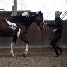 Load image into Gallery viewer, Zyara multi cavesson bridle rosegold black + brown used during groundwork with a horse and rider.