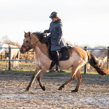 Load image into Gallery viewer, Vic sidepull brown