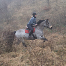 Load image into Gallery viewer, Vic sidepull brown