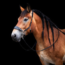 Load image into Gallery viewer, Jack western hackamore dark brown + black