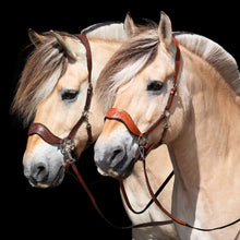 Load image into Gallery viewer, Hackamore bitloos hoofstel western in mocca bruin en cognac. Bitloos rijden in western hackamore hoofdstel.
