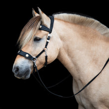 Afbeelding in Gallery-weergave laden, Colin sidepull + kleuren