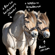 Afbeelding in Gallery-weergave laden, Jack western hackamore