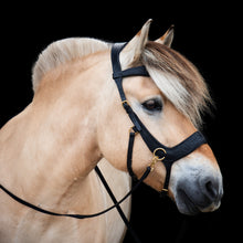 Load image into Gallery viewer, Micky sidepull black + brown gold