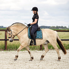 Afbeelding in Gallery-weergave laden, Ster hackamore scharen goud