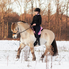 Afbeelding in Gallery-weergave laden, Ster hackamore scharen zilver