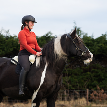 Load image into Gallery viewer, bitless ster hackamore star hackamore anatomical shaped anatomisch hoofdstel bitloos clip teugels goud zwart