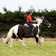 Load image into Gallery viewer, bitless ster hackamore star hackamore anatomical shaped anatomisch hoofdstel bitloos clip teugels goud zwart