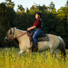 Afbeelding in Gallery-weergave laden, Rose Hackamore Scharen F.R.A