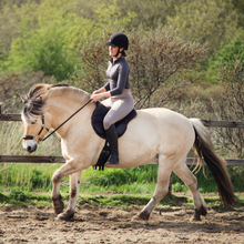 Afbeelding in Gallery-weergave laden, Rose Hackamore Scharen F.R.A