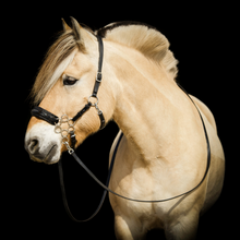 Afbeelding in Gallery-weergave laden, Rose Hackamore Scharen F.R.A