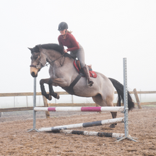 Afbeelding in Gallery-weergave laden, Ster hackamore scharen zilver