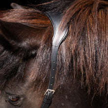 Load image into Gallery viewer, Zyara multi bridle black
