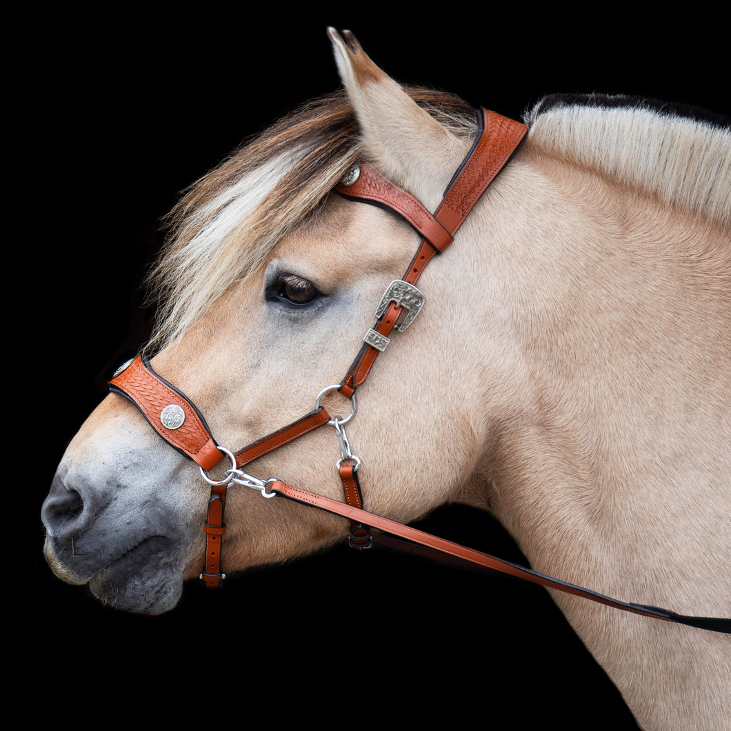 Colin sidepull + kleuren