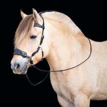 Load image into Gallery viewer, Guusje hackamore bridle
