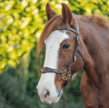 Load image into Gallery viewer, Imperial hackamore brown gold
