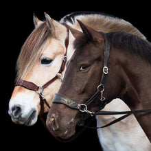 Load image into Gallery viewer, Havana western sidepull Black + Mocca
