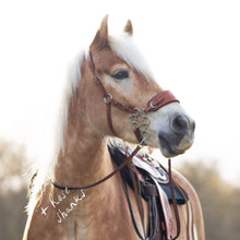 Load image into Gallery viewer, Jack western hackamore
