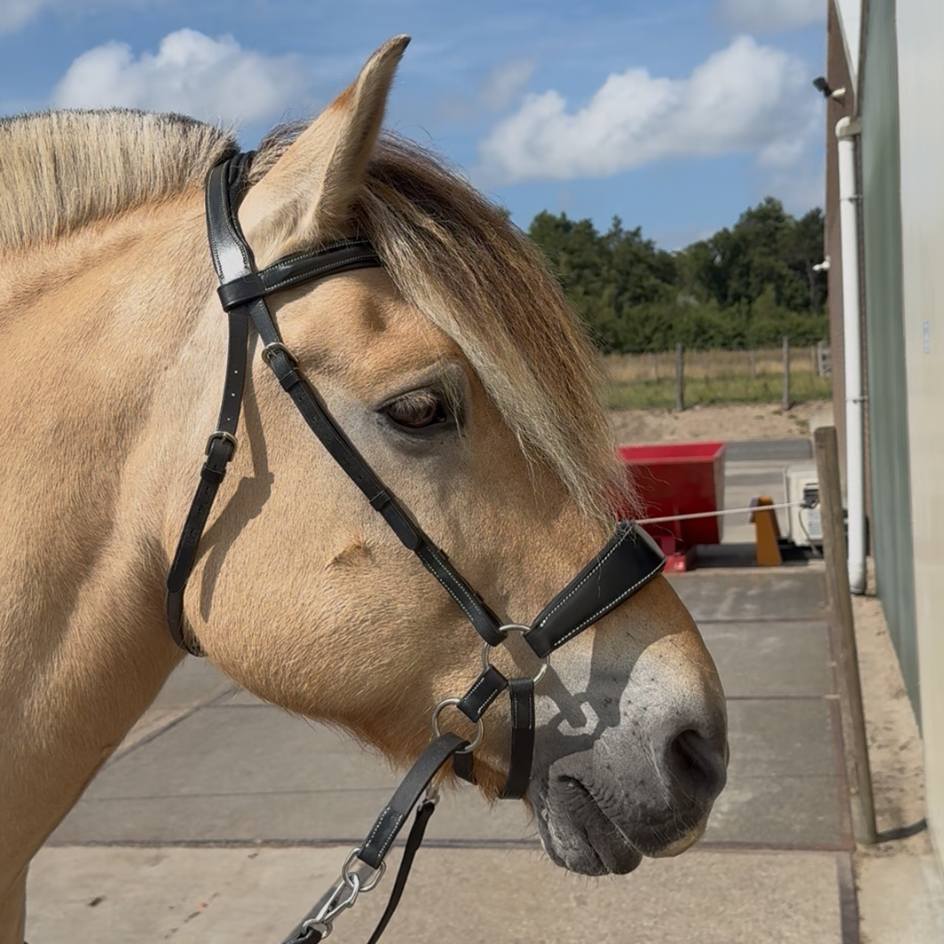 Chincross bridle full black