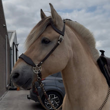 Load image into Gallery viewer, Bram one ear hackamore
