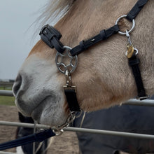 Load image into Gallery viewer, Leading clip
