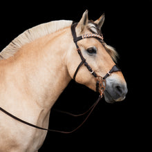 Afbeelding in Gallery-weergave laden, Vlinder hackamore scharen
