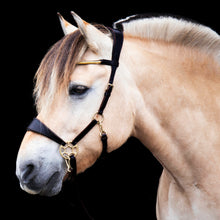 Load image into Gallery viewer, Luke bridle black full
