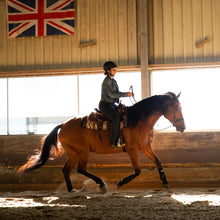 Load image into Gallery viewer, sidepull, bitloos, western, hoofdstel, reining, bruin, bitless, bridle, sidepull bridle

