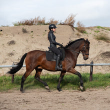 Load image into Gallery viewer, Tico hackamore hoofdstel ster bitless bitloos anatomisch shetty shetlander pony cob full horse extra full
